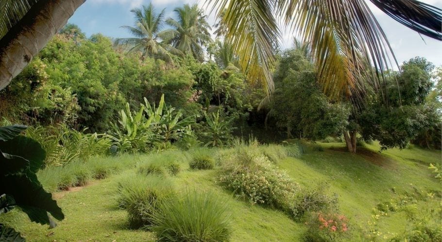Villa Citronella