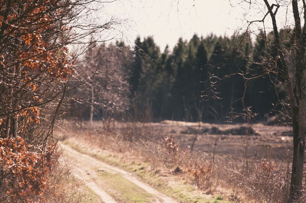Farmlodge