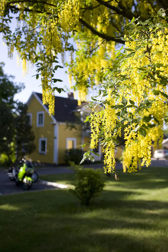 Hotell Björkhaga