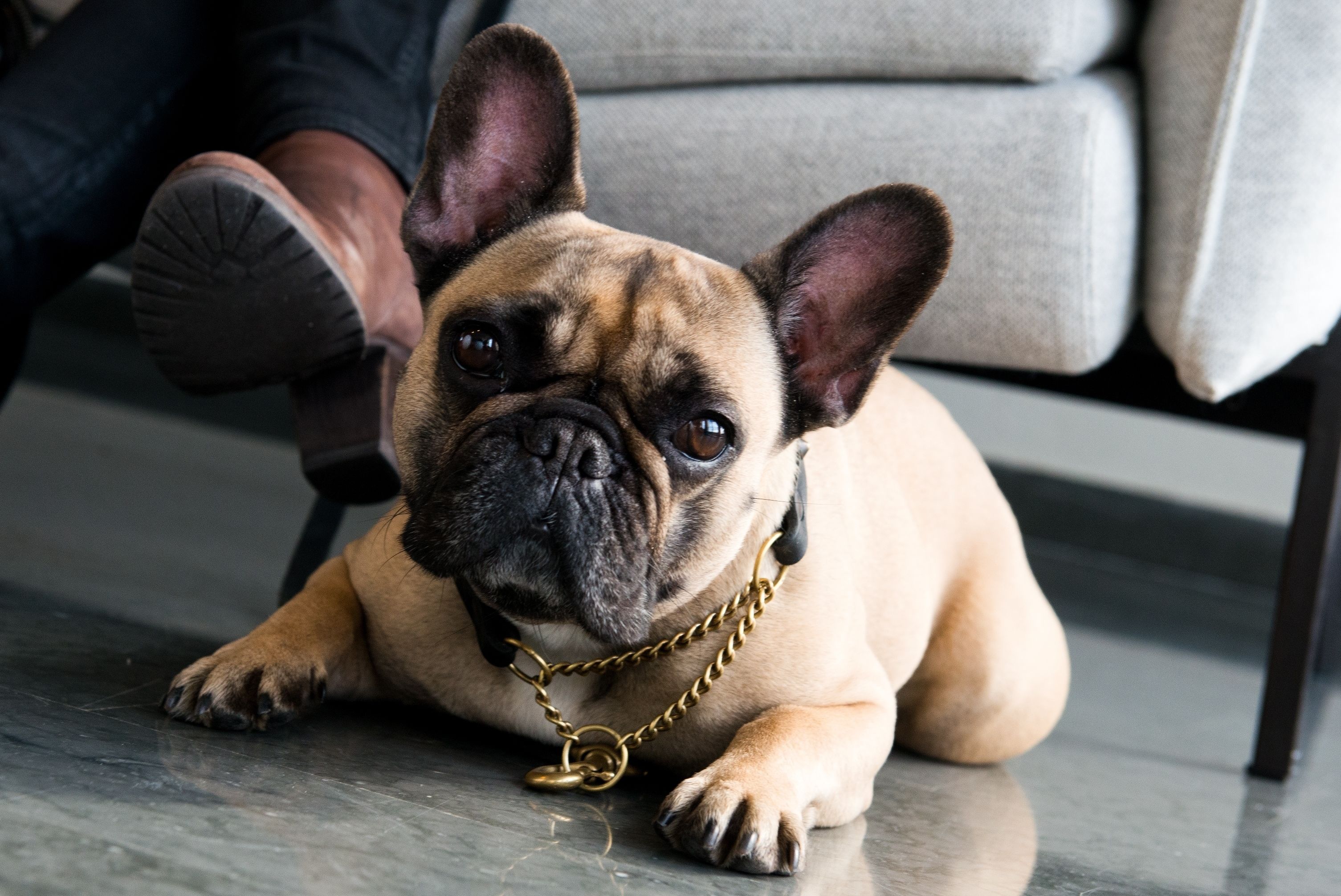 Best Western Plus Sthlm Bromma