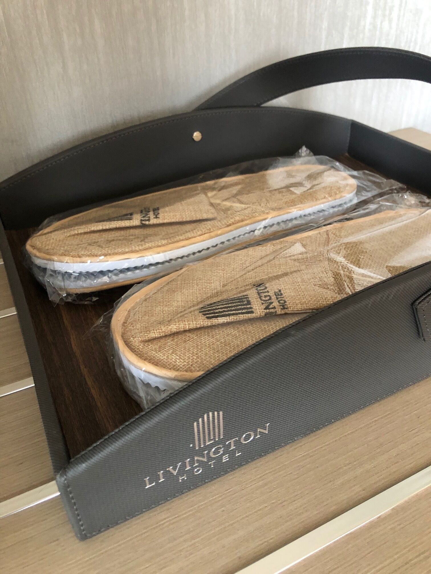 Livington Hotel