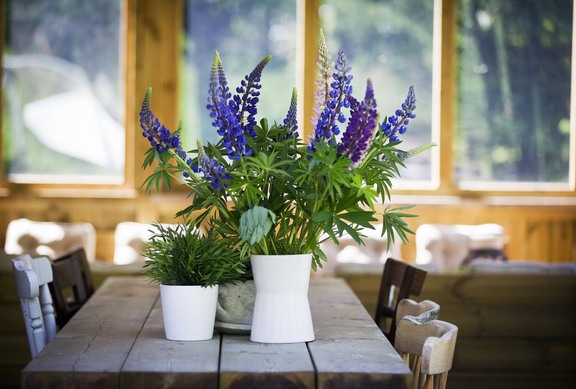Guesthouse Eleven