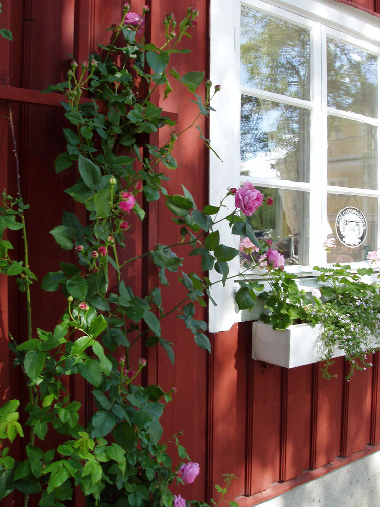 Garvaregarden Bed and Breakfast-Pensionat Sundsgarden