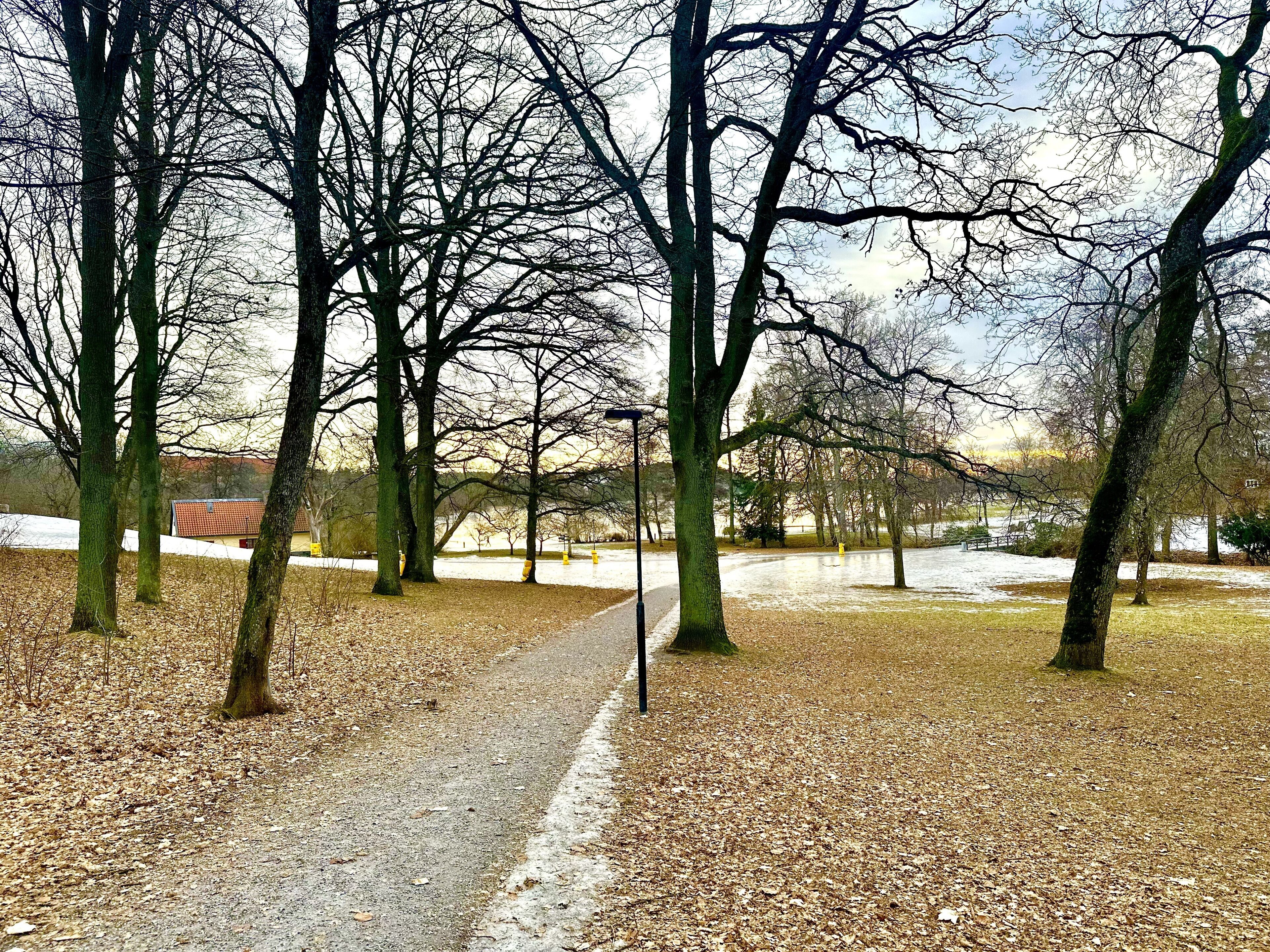 Edsviken Hotell