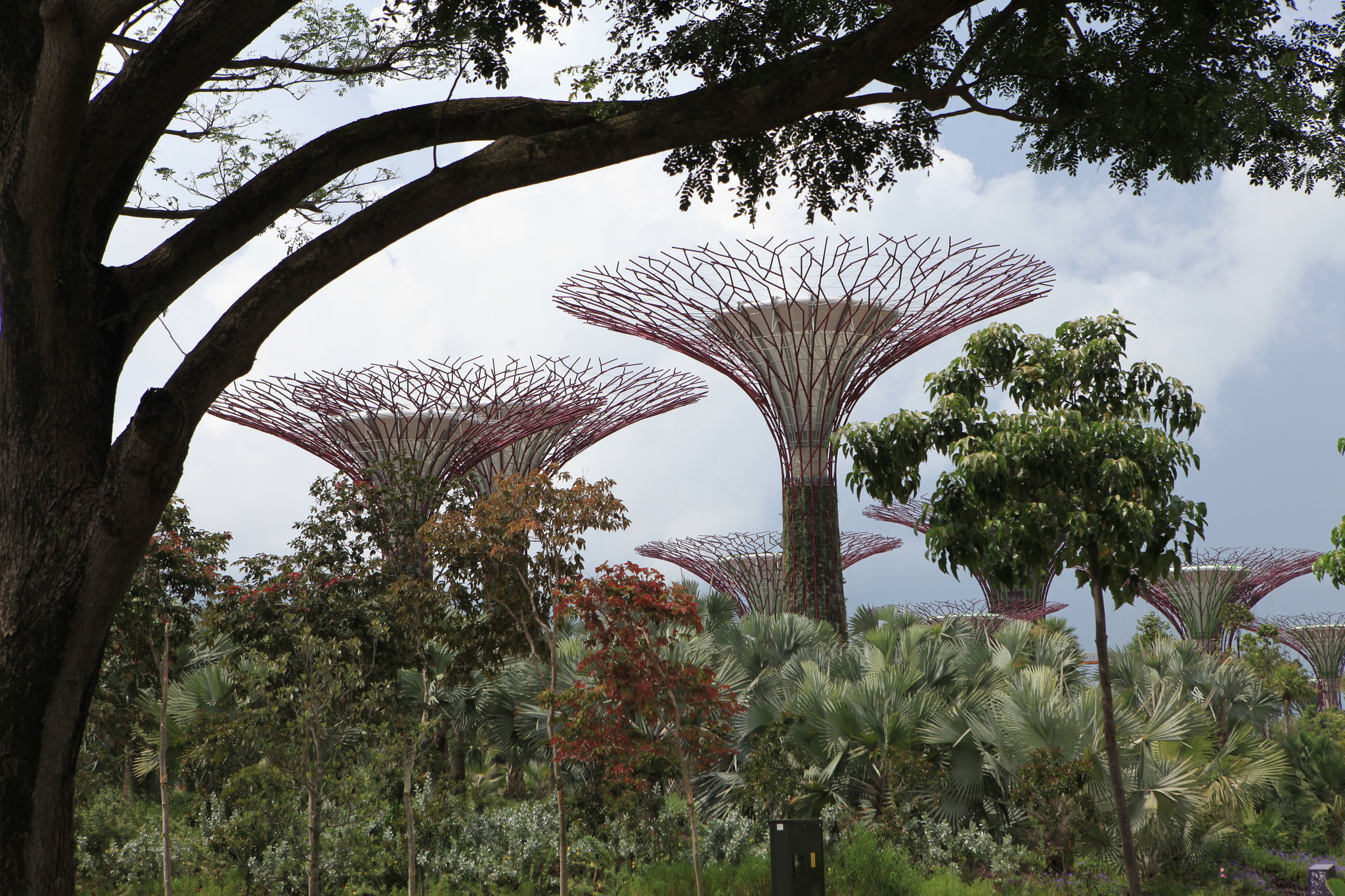 Dorsett Singapore