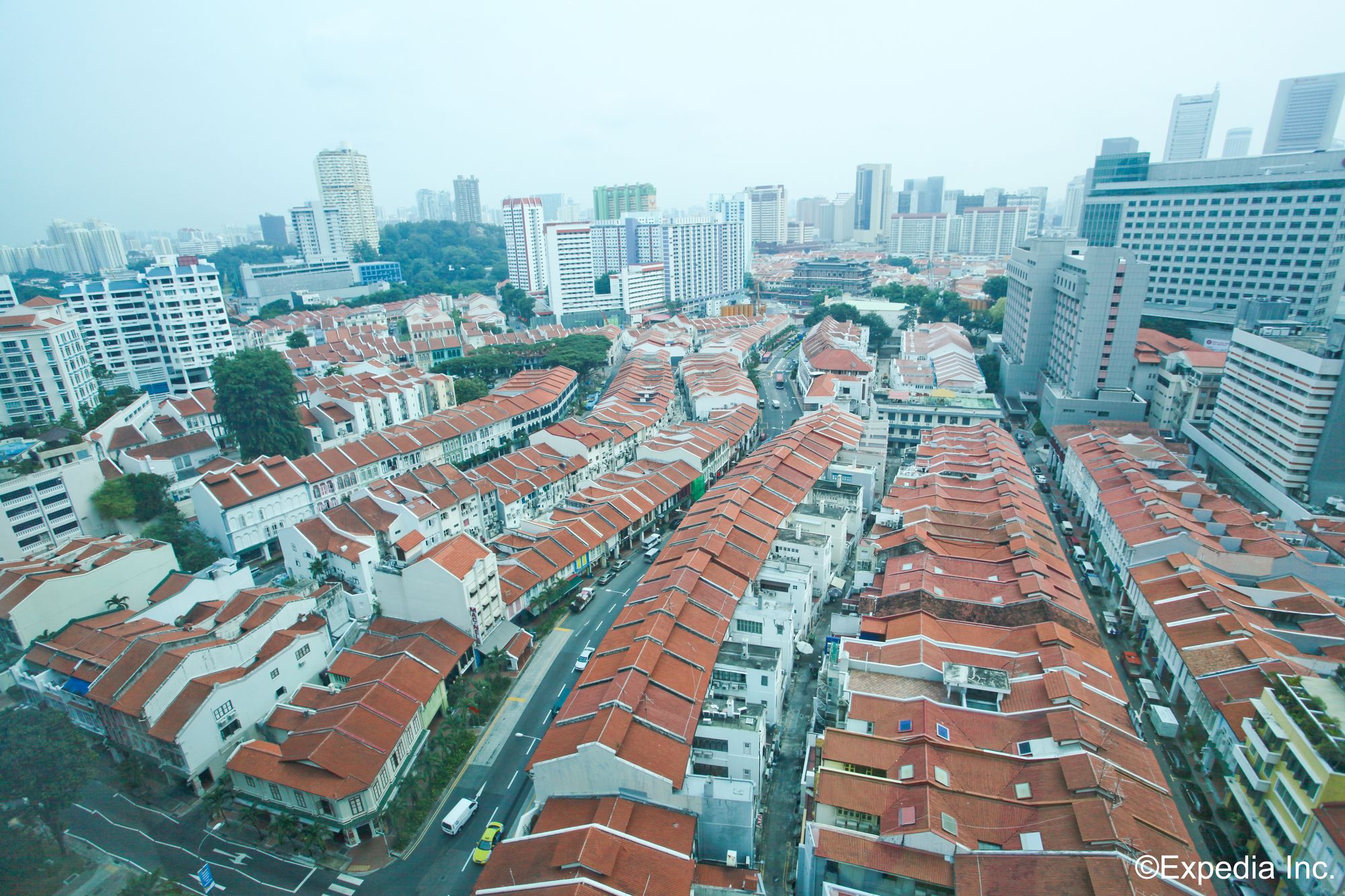 Orchid Singapore
