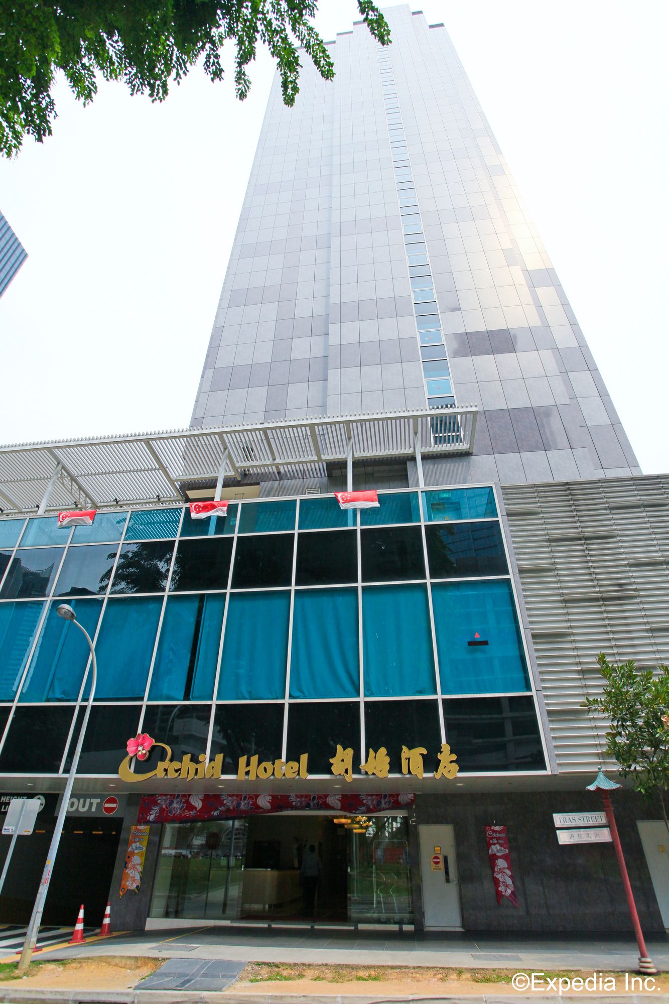 Orchid Singapore