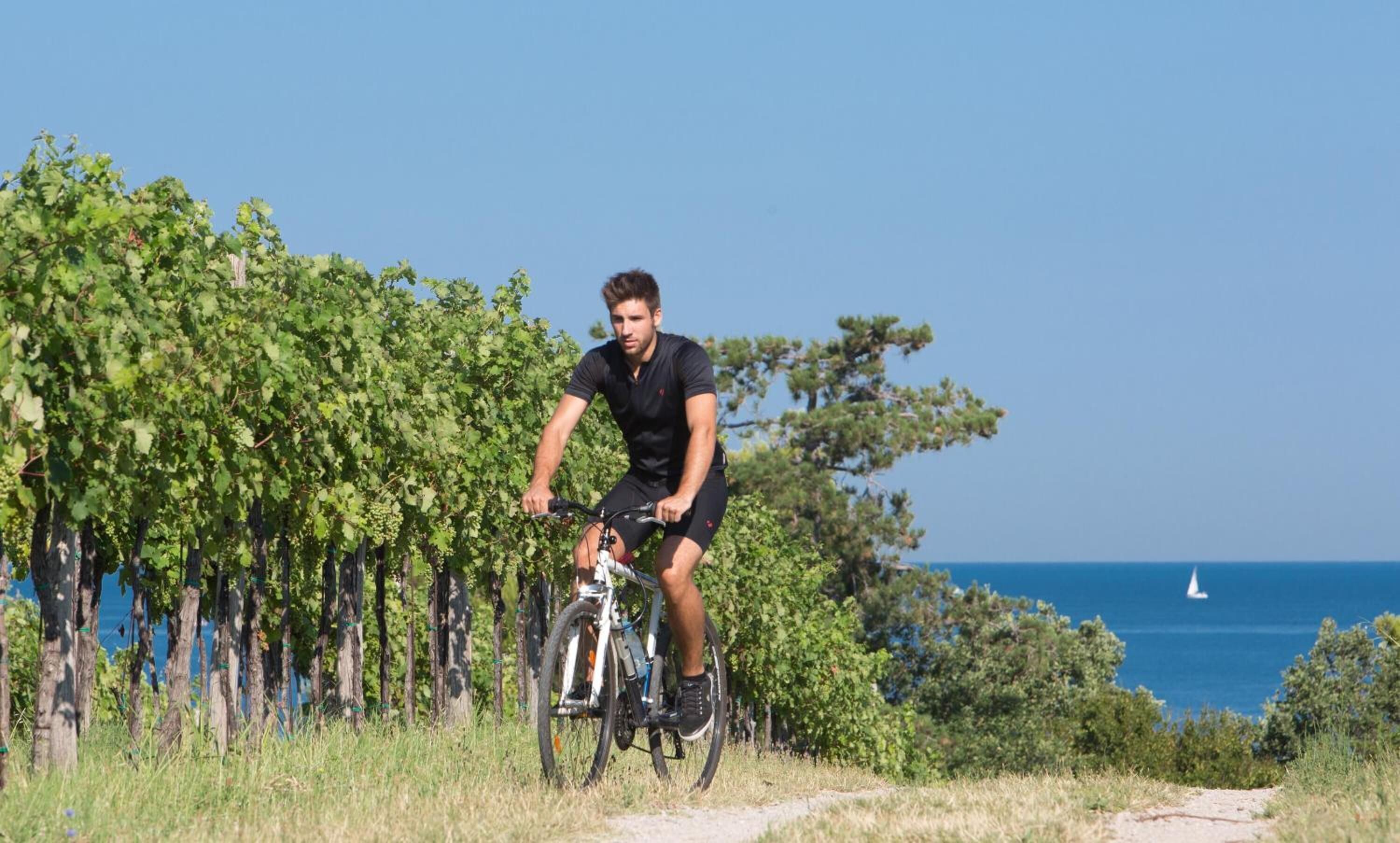 Villas - Hotel & Resort Adria Ankaran