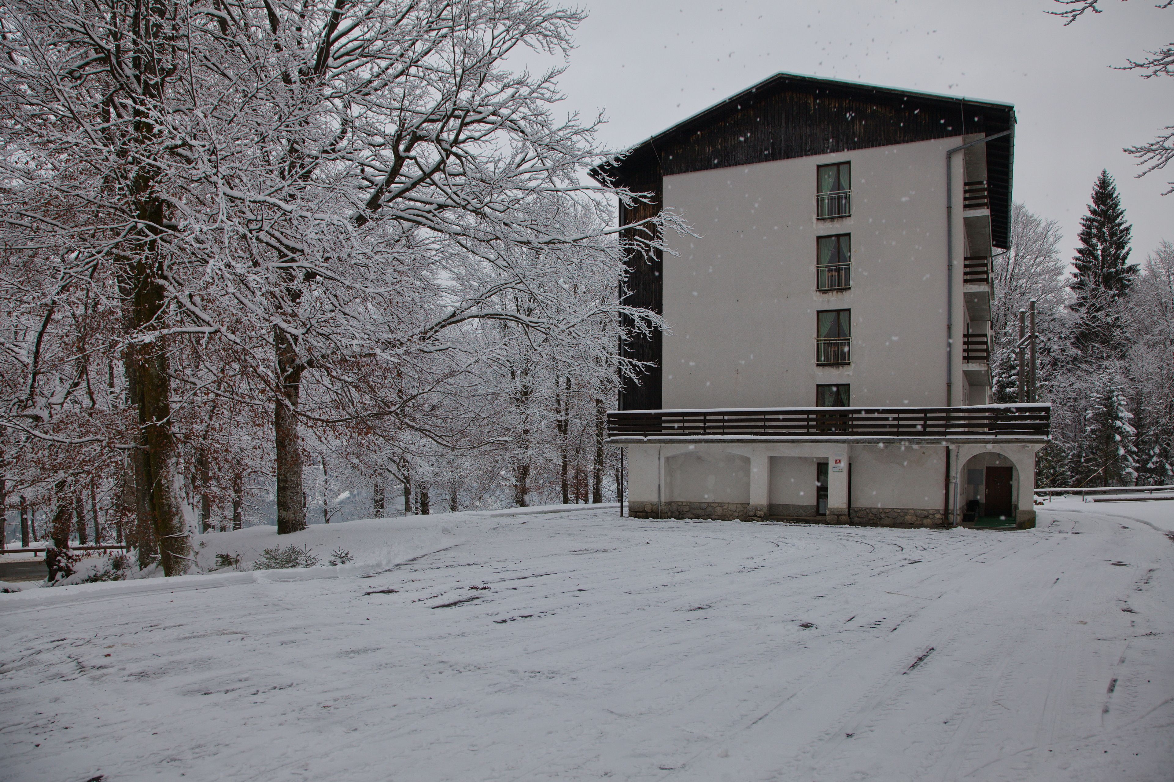 Hostel Pod Voglom
