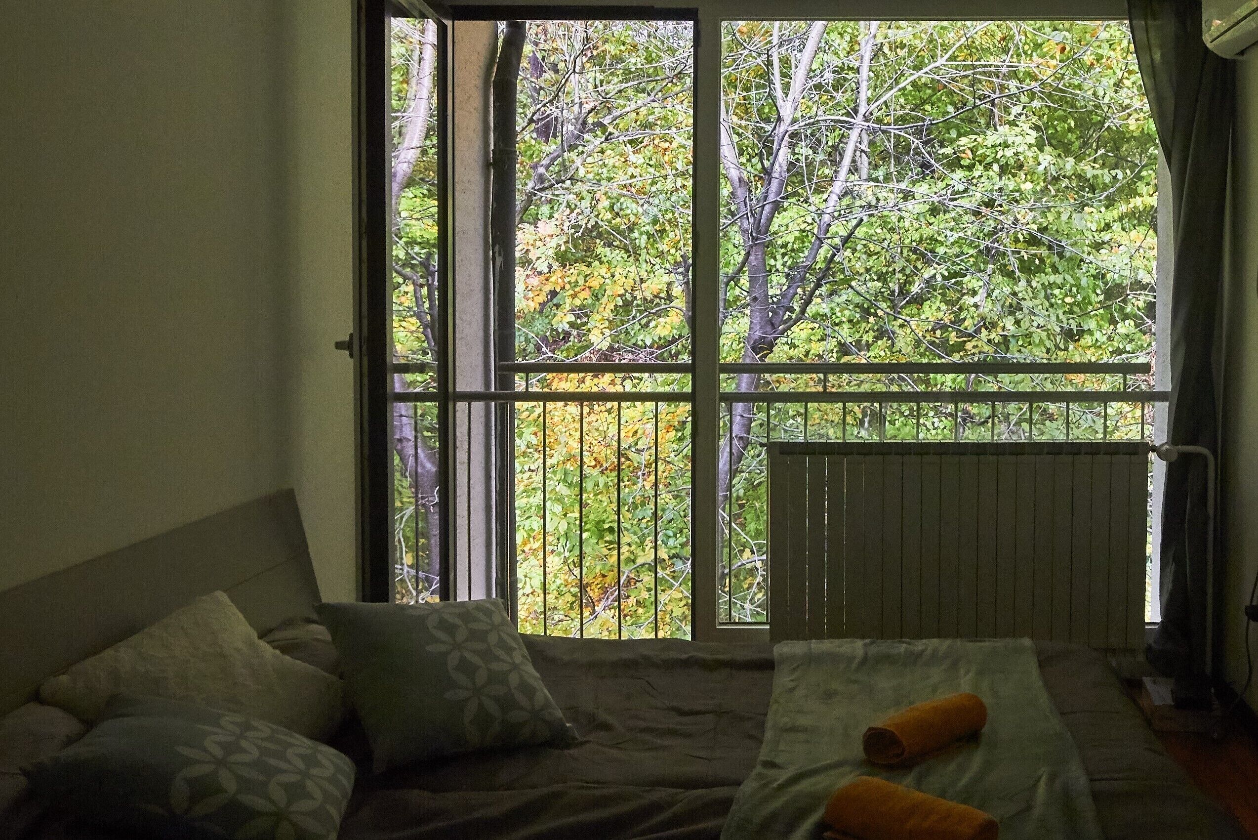 Nature view B&B