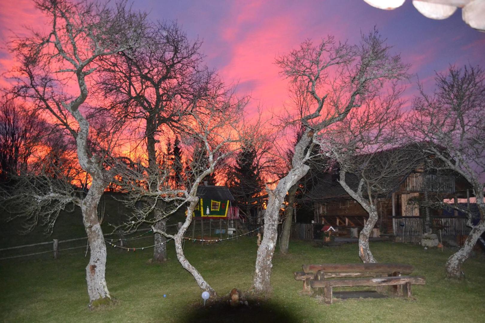 Chalets Toplak