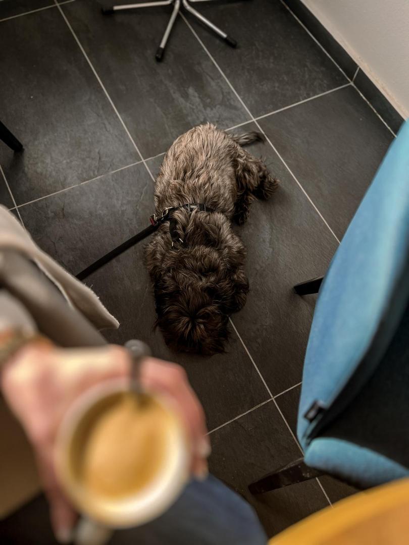 Mlada Lipa Guesthouse