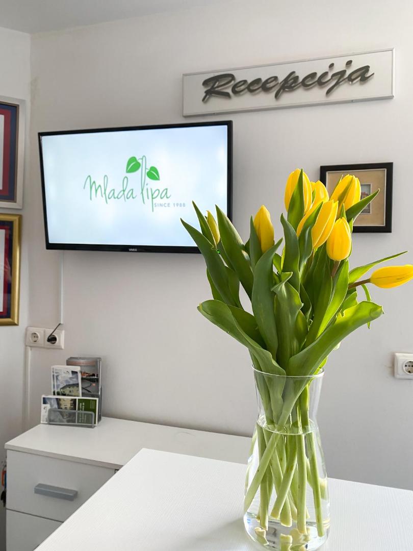 Mlada Lipa Guesthouse