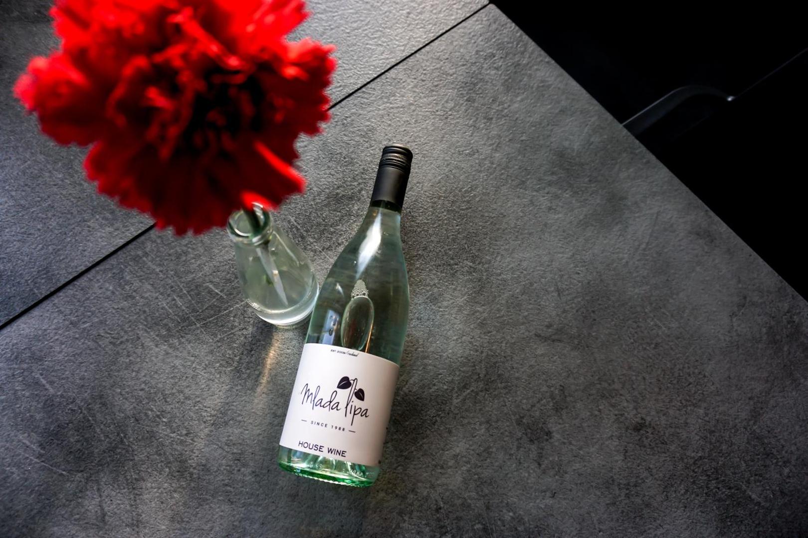 Mlada Lipa Guesthouse