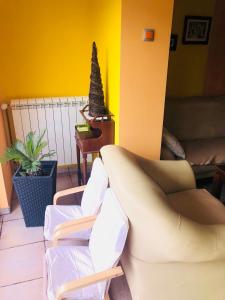 Sobe Apartmaji Terapije
