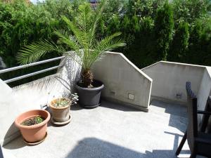 Sobe Apartmaji Terapije