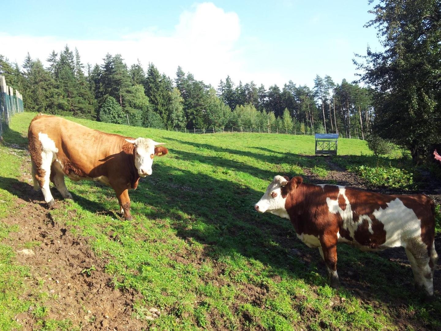 Tourist Farm Pri Ratu