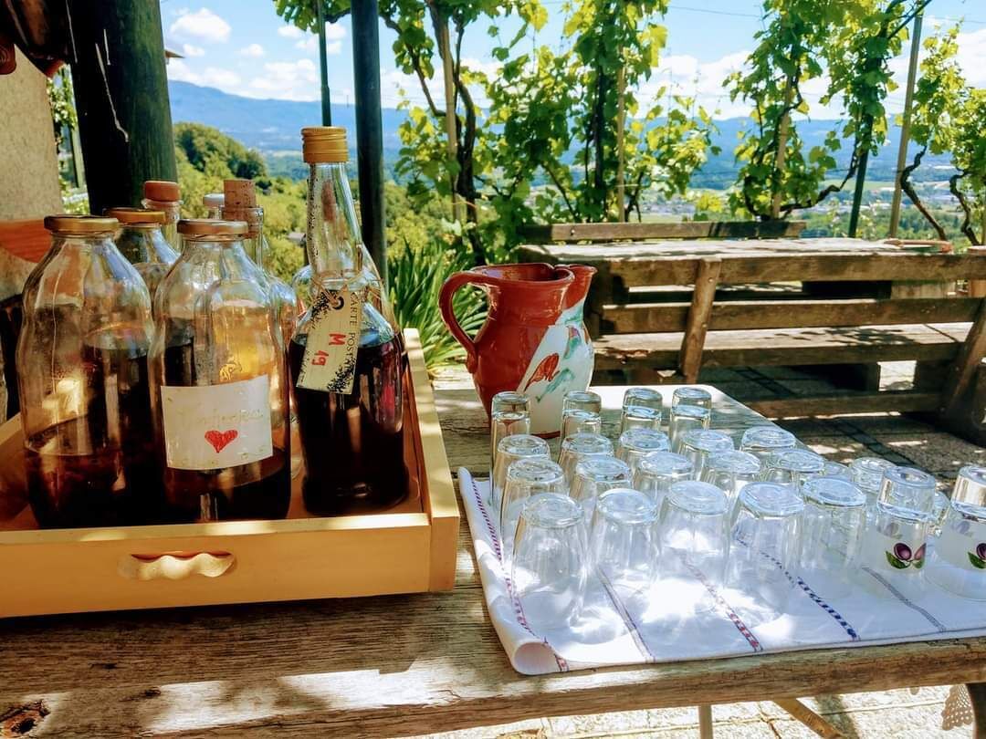 Vineyard Cottage Vercek