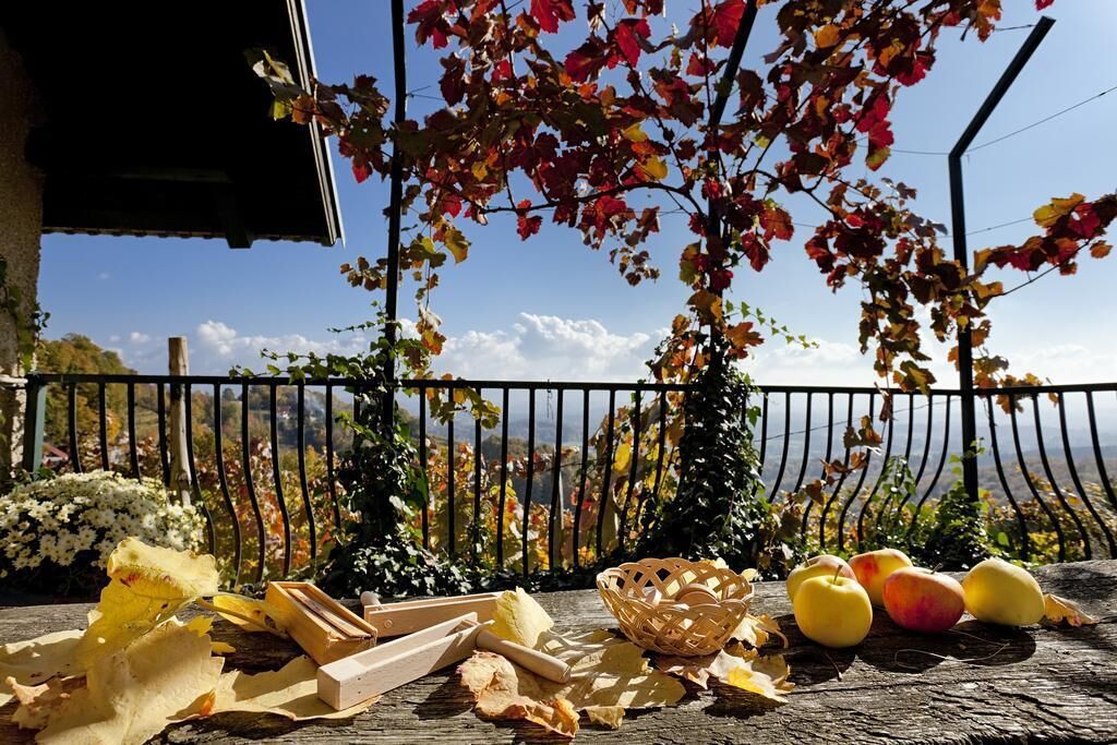 Vineyard Cottage Vercek