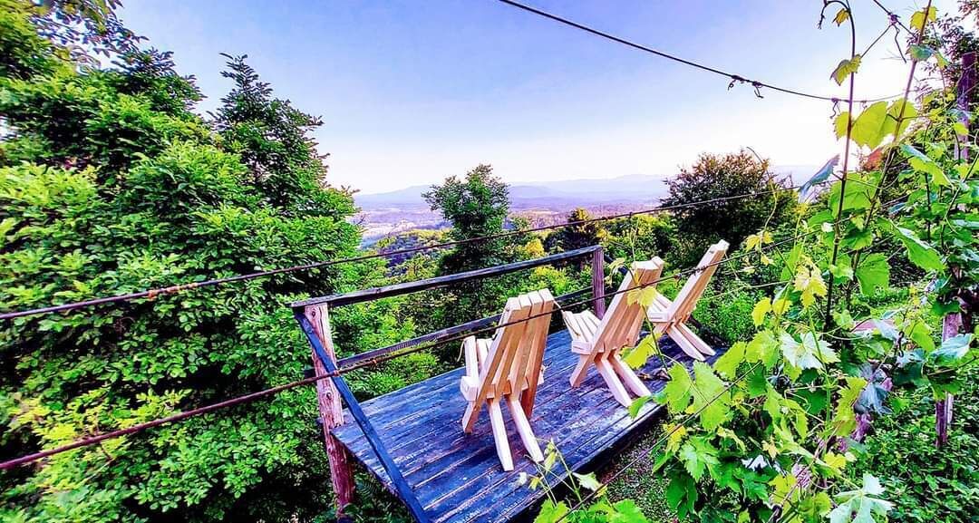 Vineyard Cottage Vercek