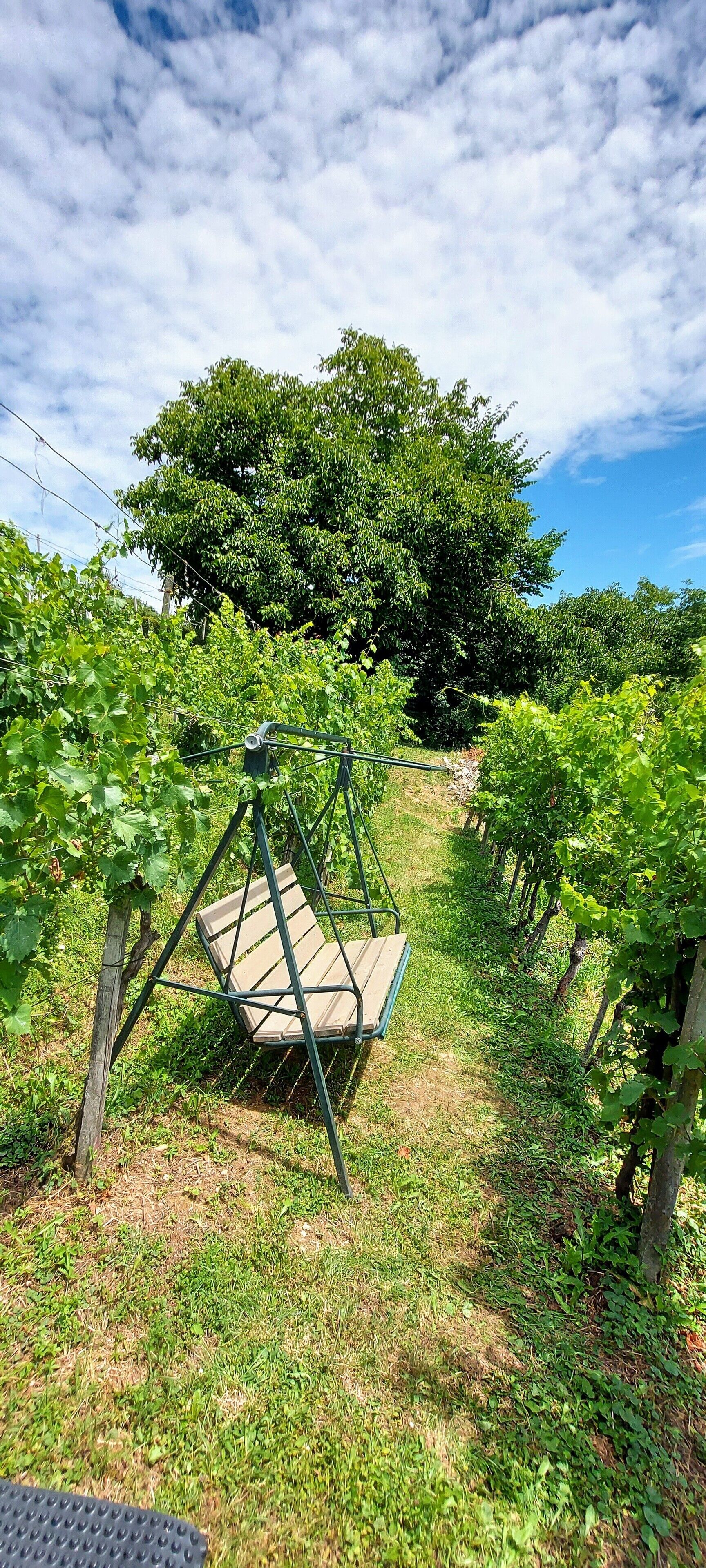 Vineyard Cottage Vercek