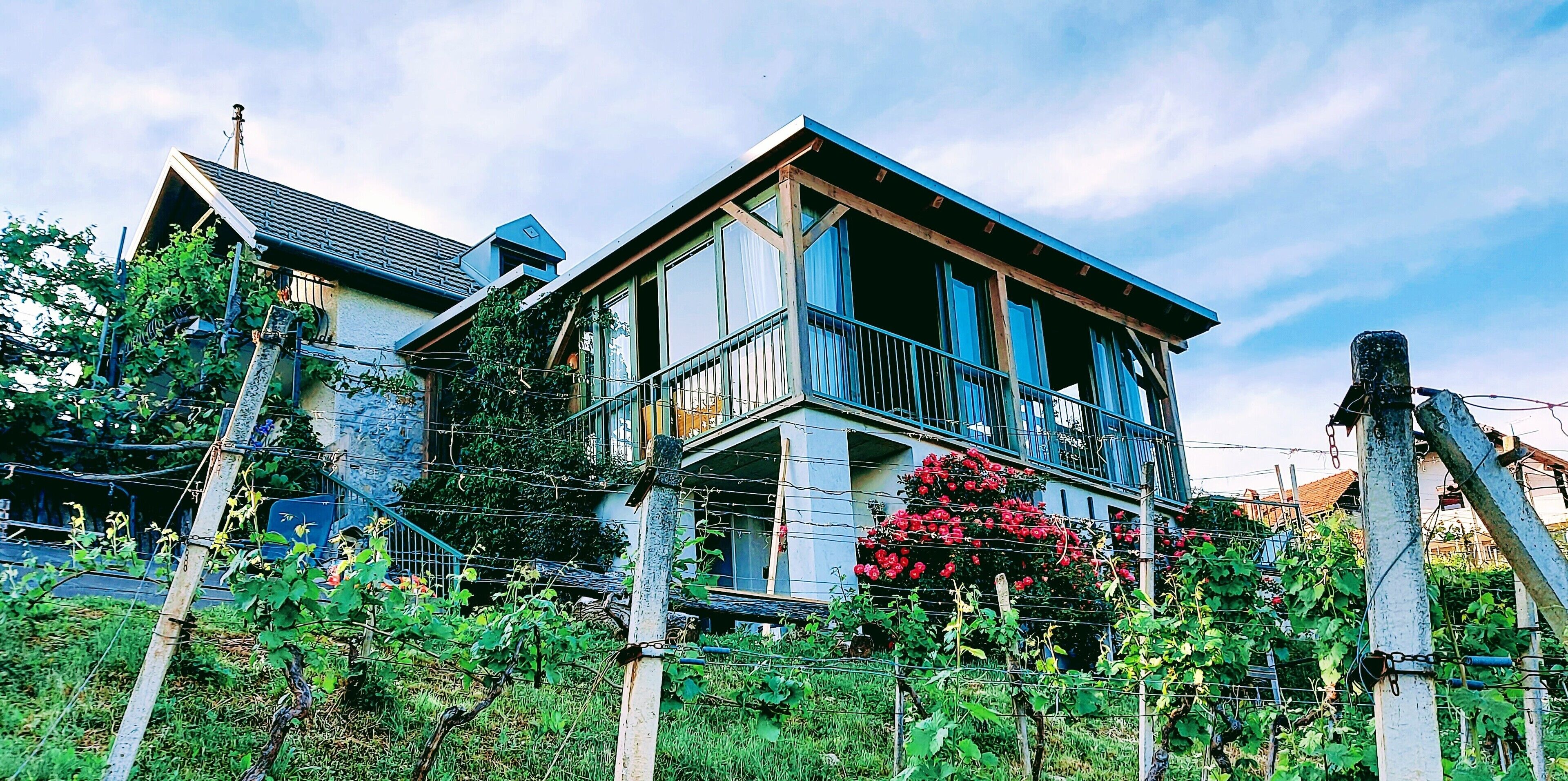 Vineyard Cottage Vercek