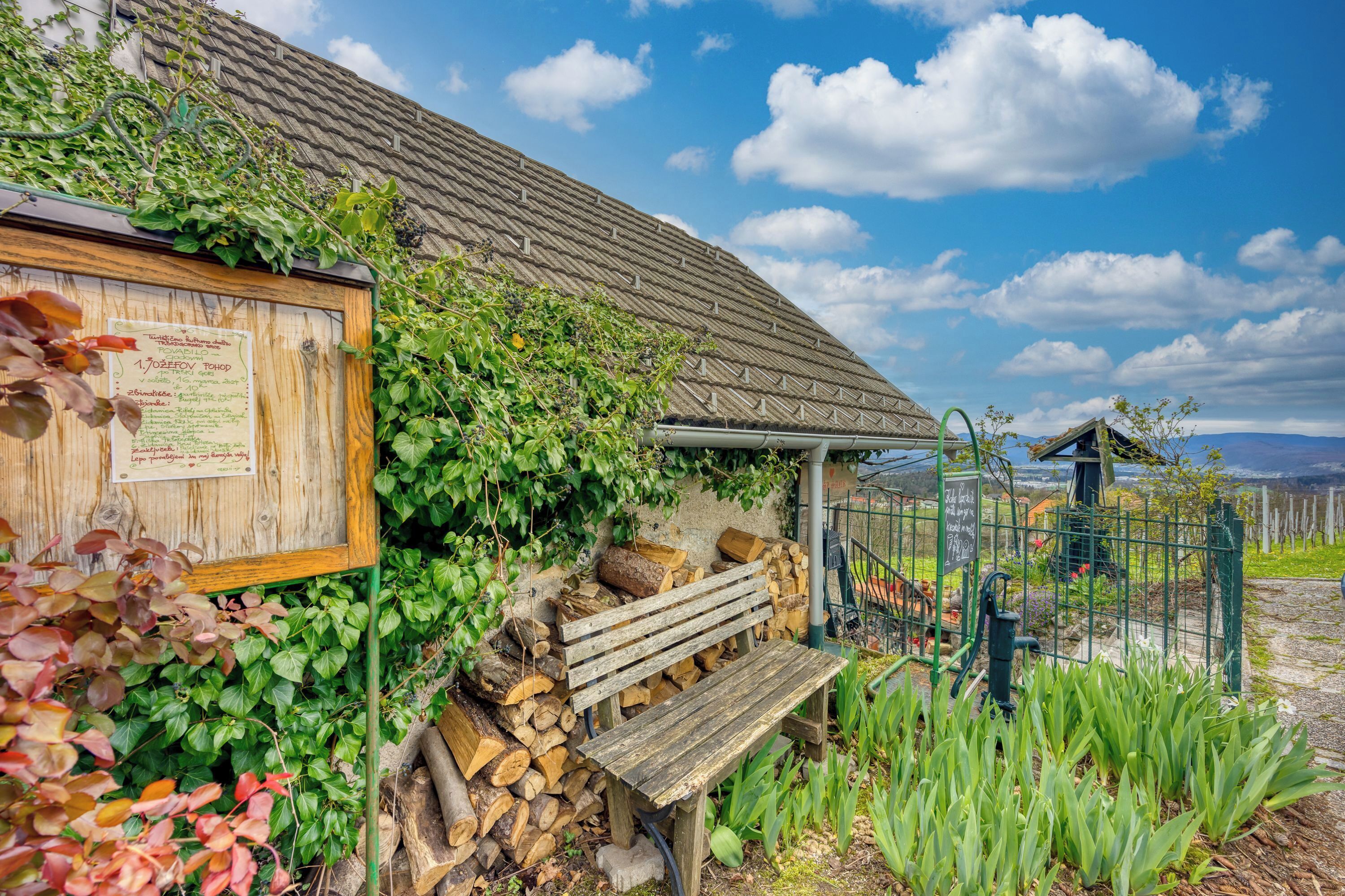 Vineyard Cottage Vercek