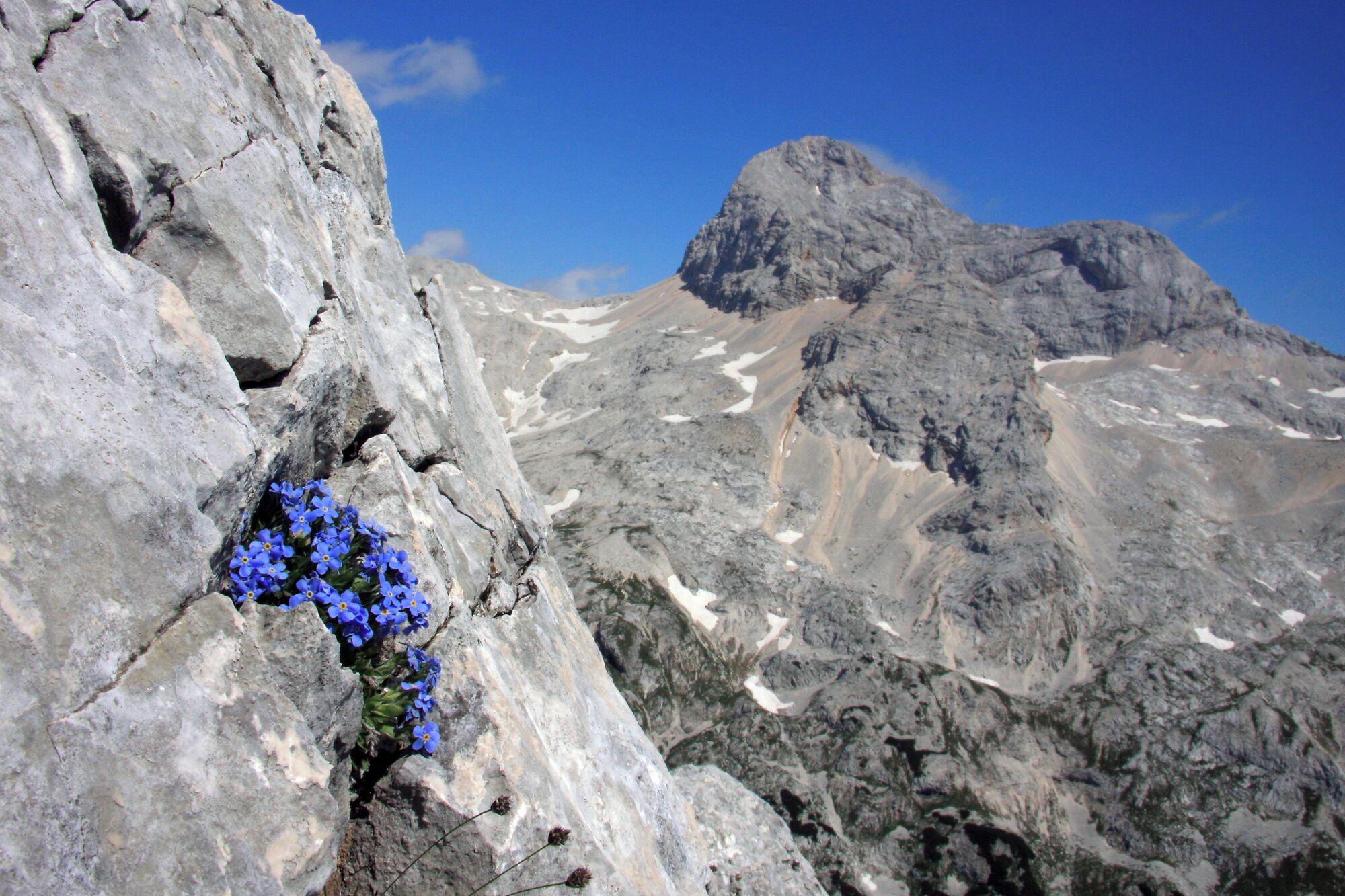 Hotel Julian Alps