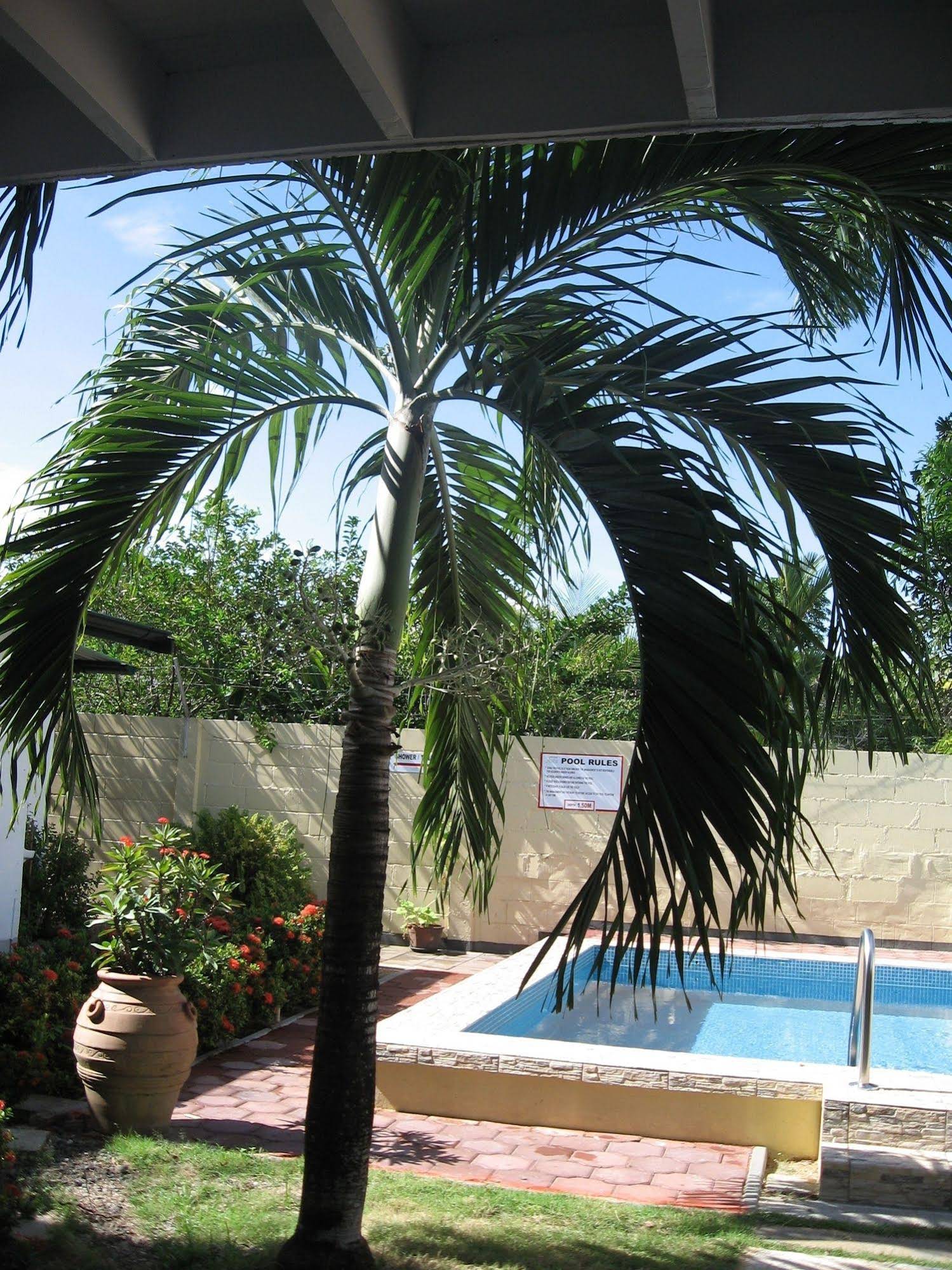 Guesthouse Amice