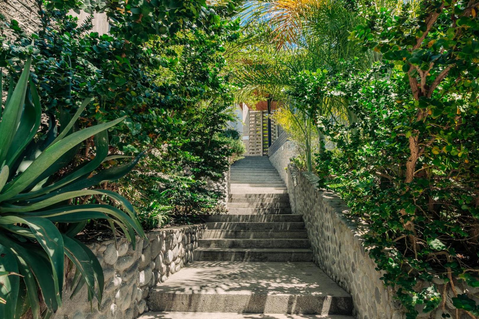 Puro Surf Hotel And Academy