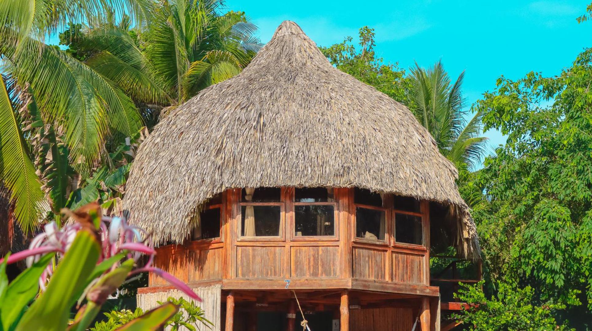 Hotel Tortuga Village Costa del Sol