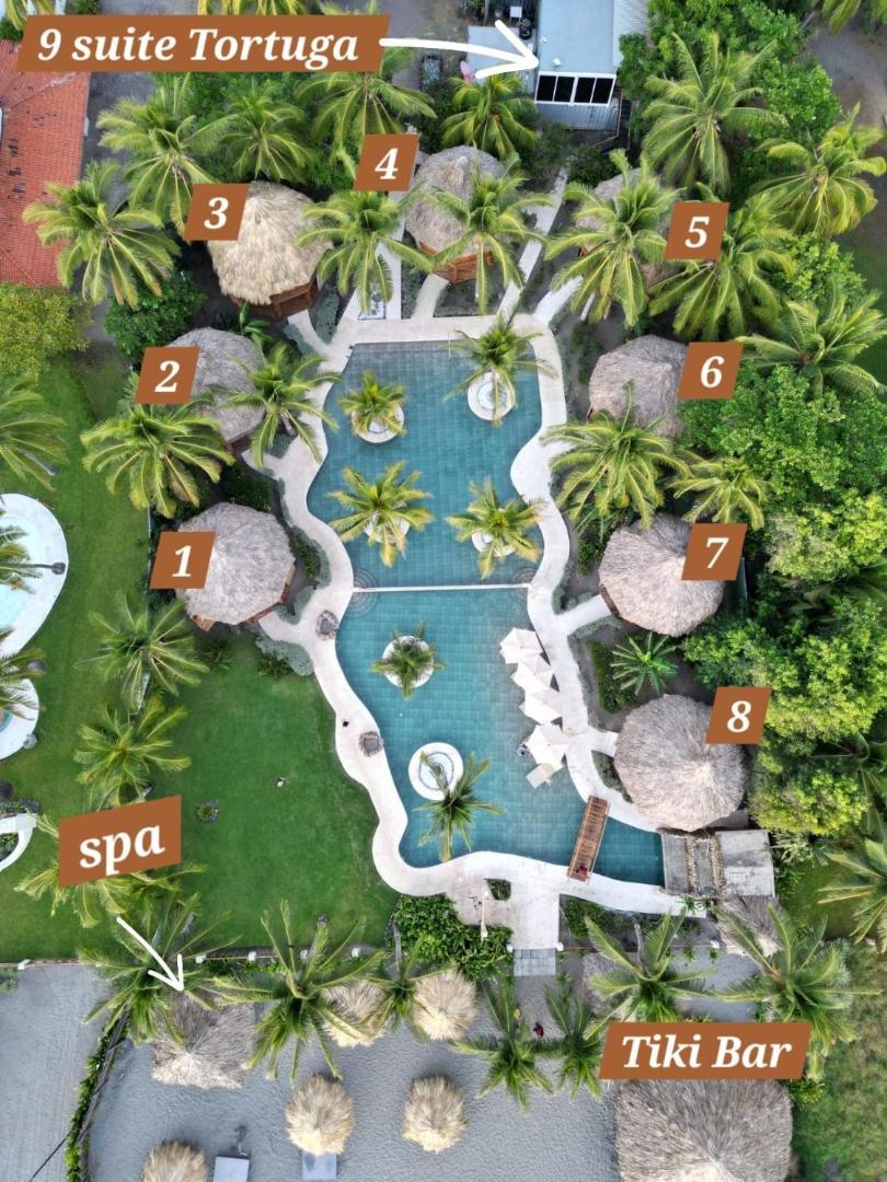 Hotel Tortuga Village Costa del Sol