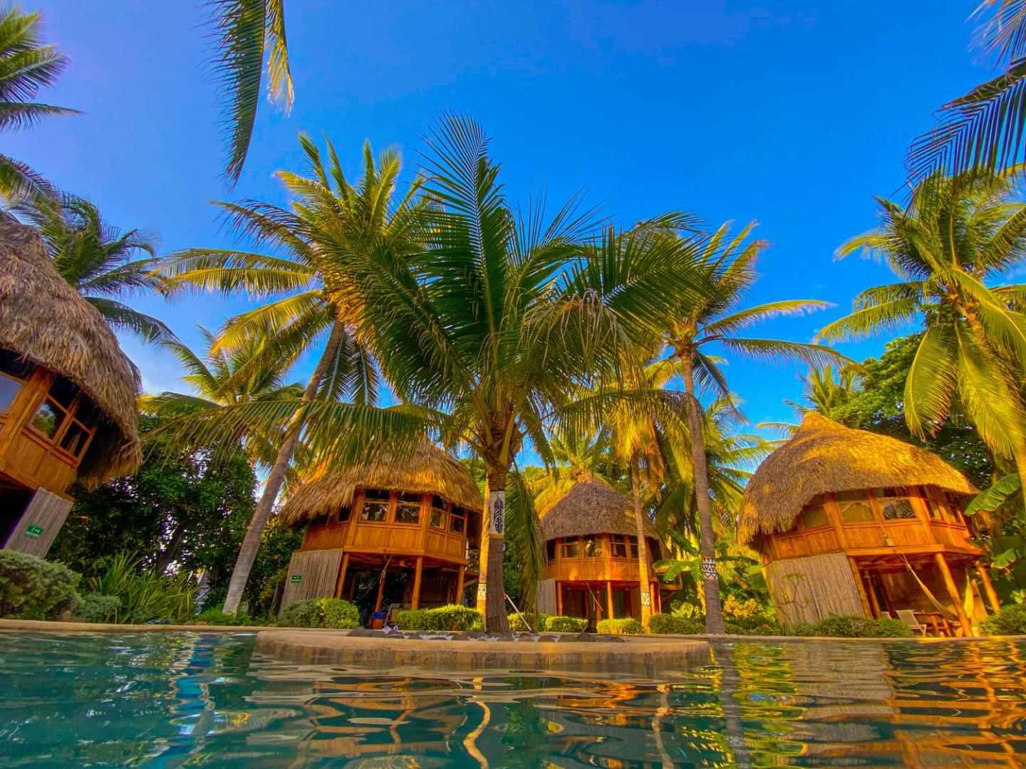 Hotel Tortuga Village Costa del Sol