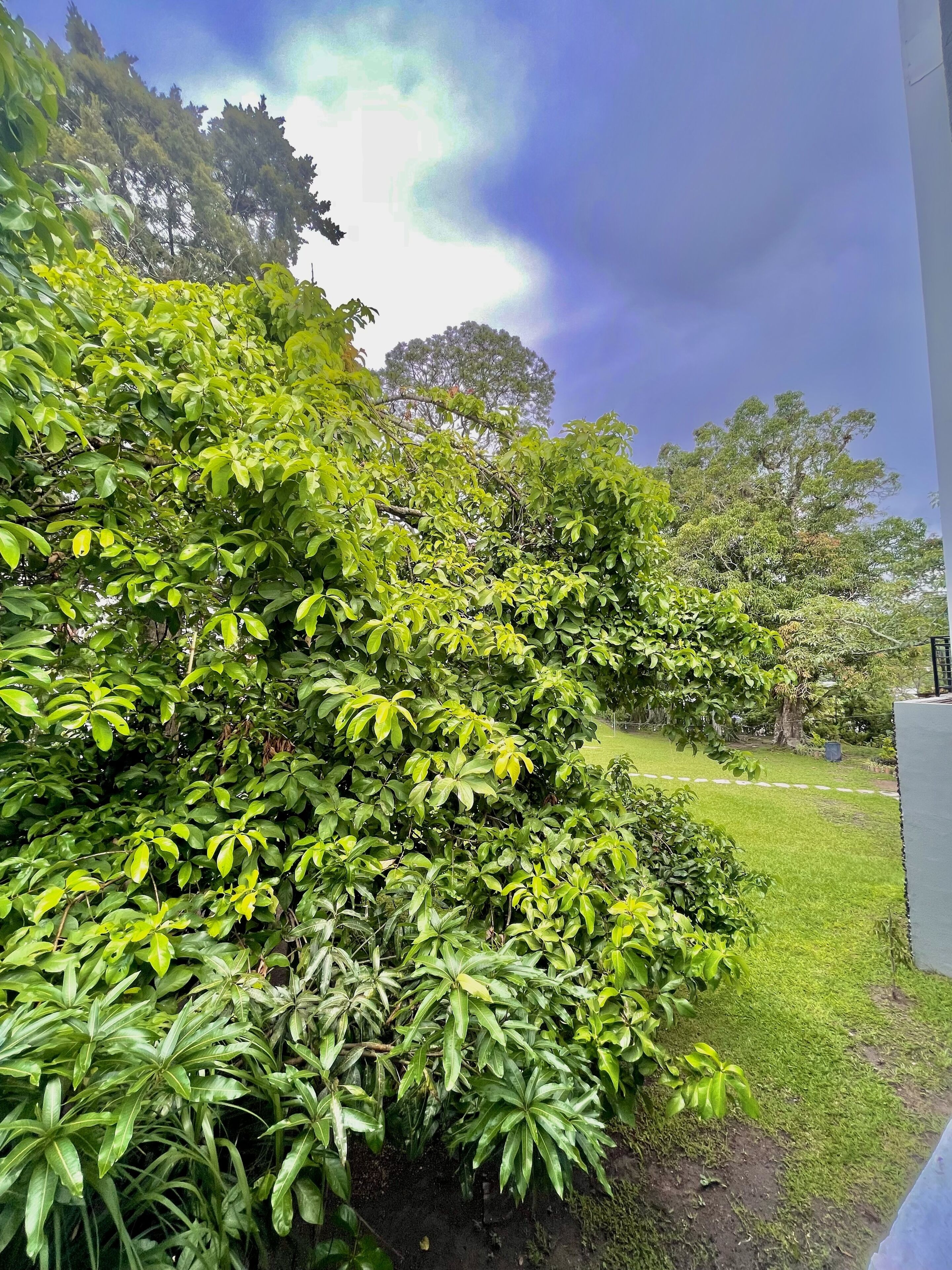Hotel Finca San Nicolas
