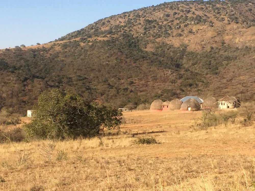 Swazi Dreams