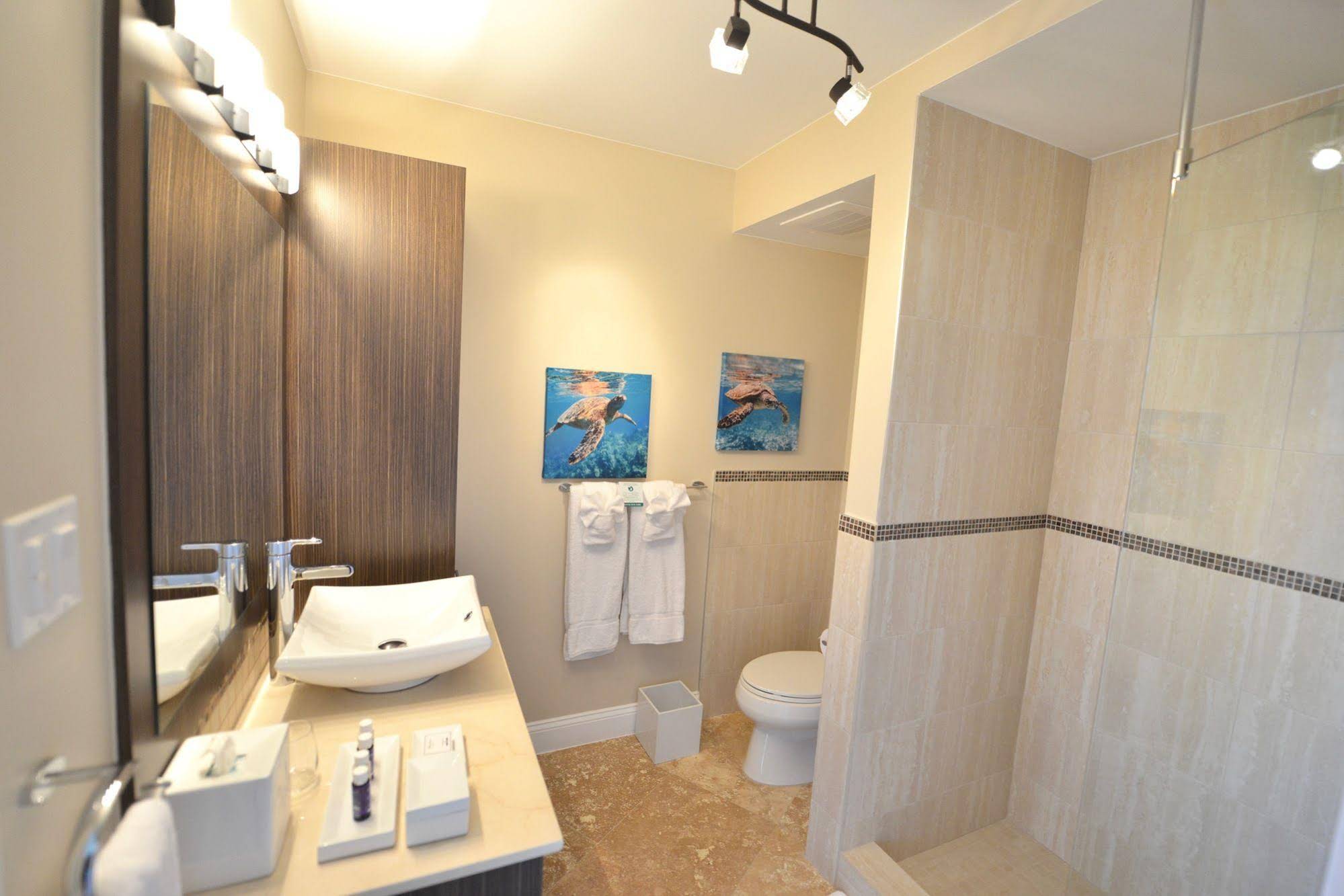 Salterra, a Luxury Collection Resort & Spa