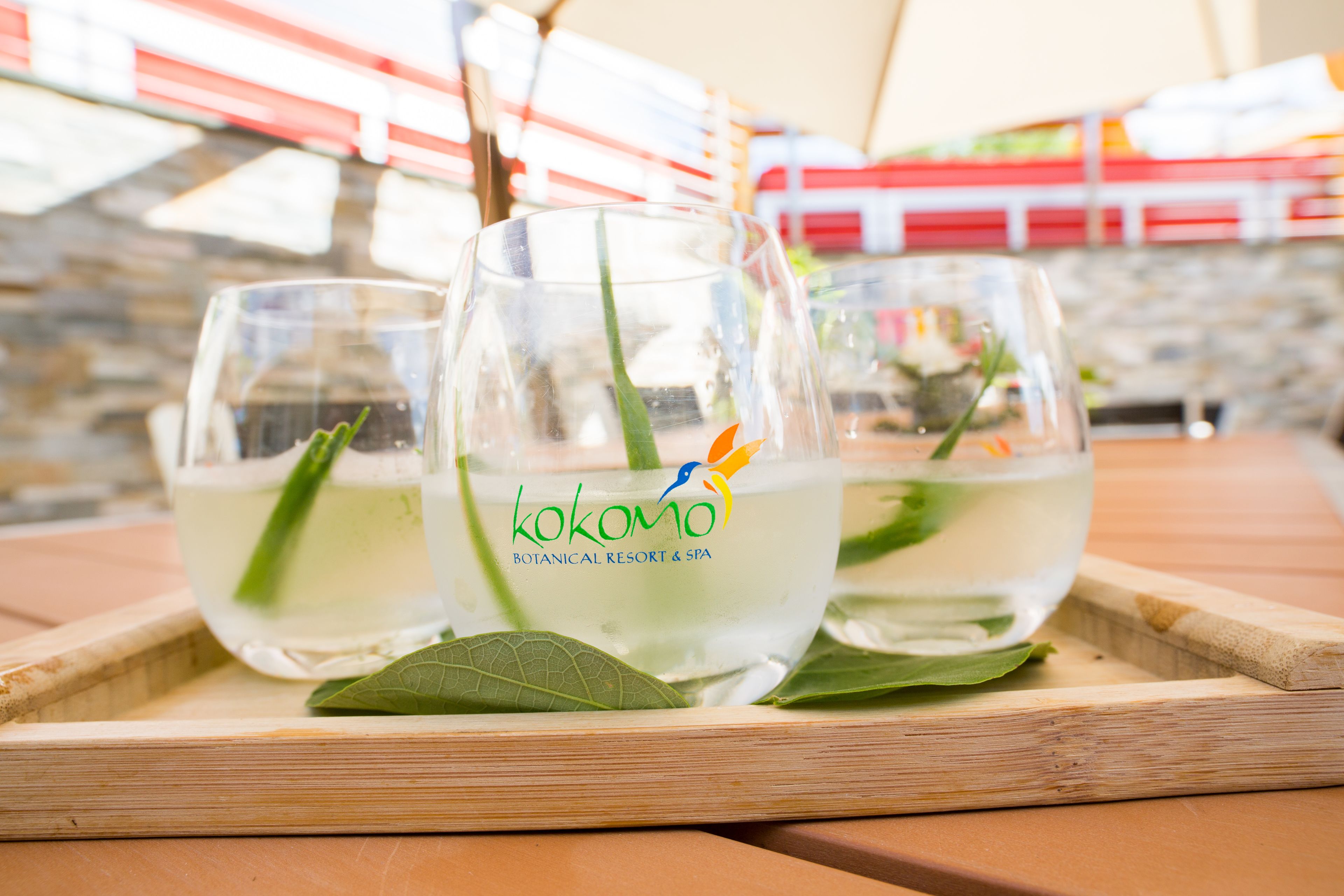 Kokomo Botanical Resort