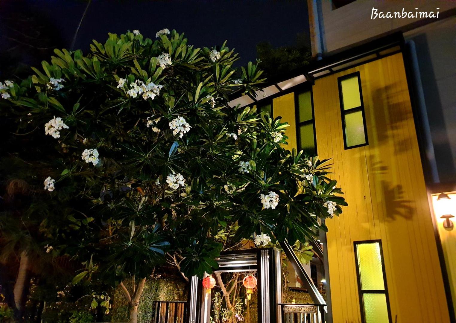 Bann Baimai Boutique Room