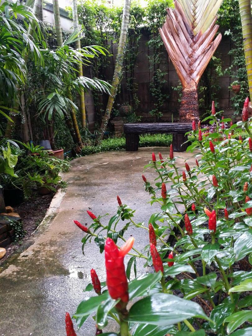 Bann Baimai Boutique Room