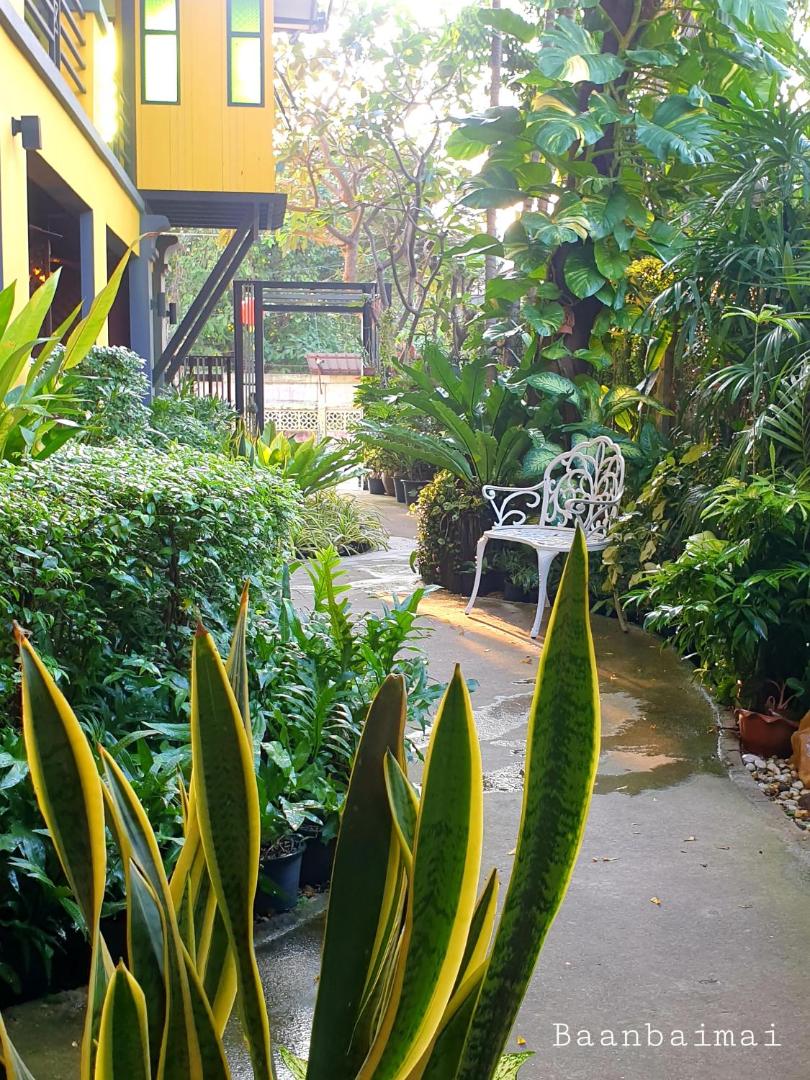 Bann Baimai Boutique Room
