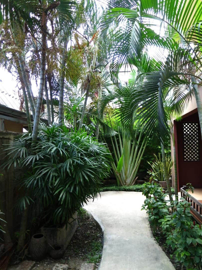Bann Baimai Boutique Room