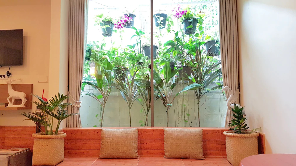 37 Nature House
