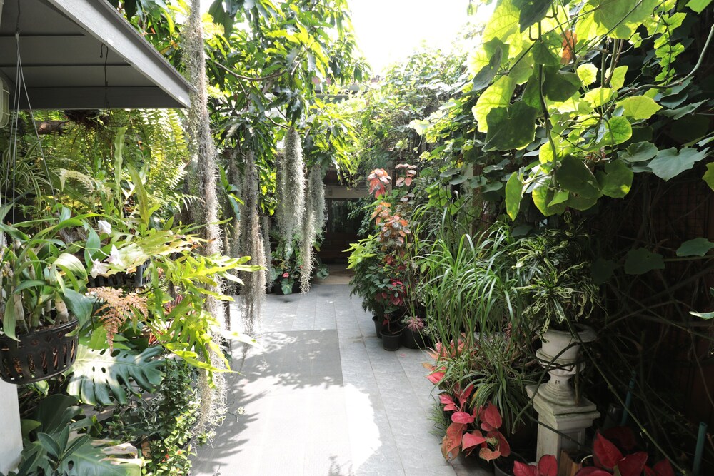 37 Nature House