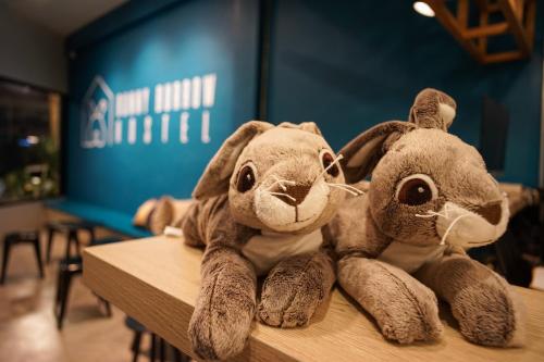 Bunny Burrow Hostel