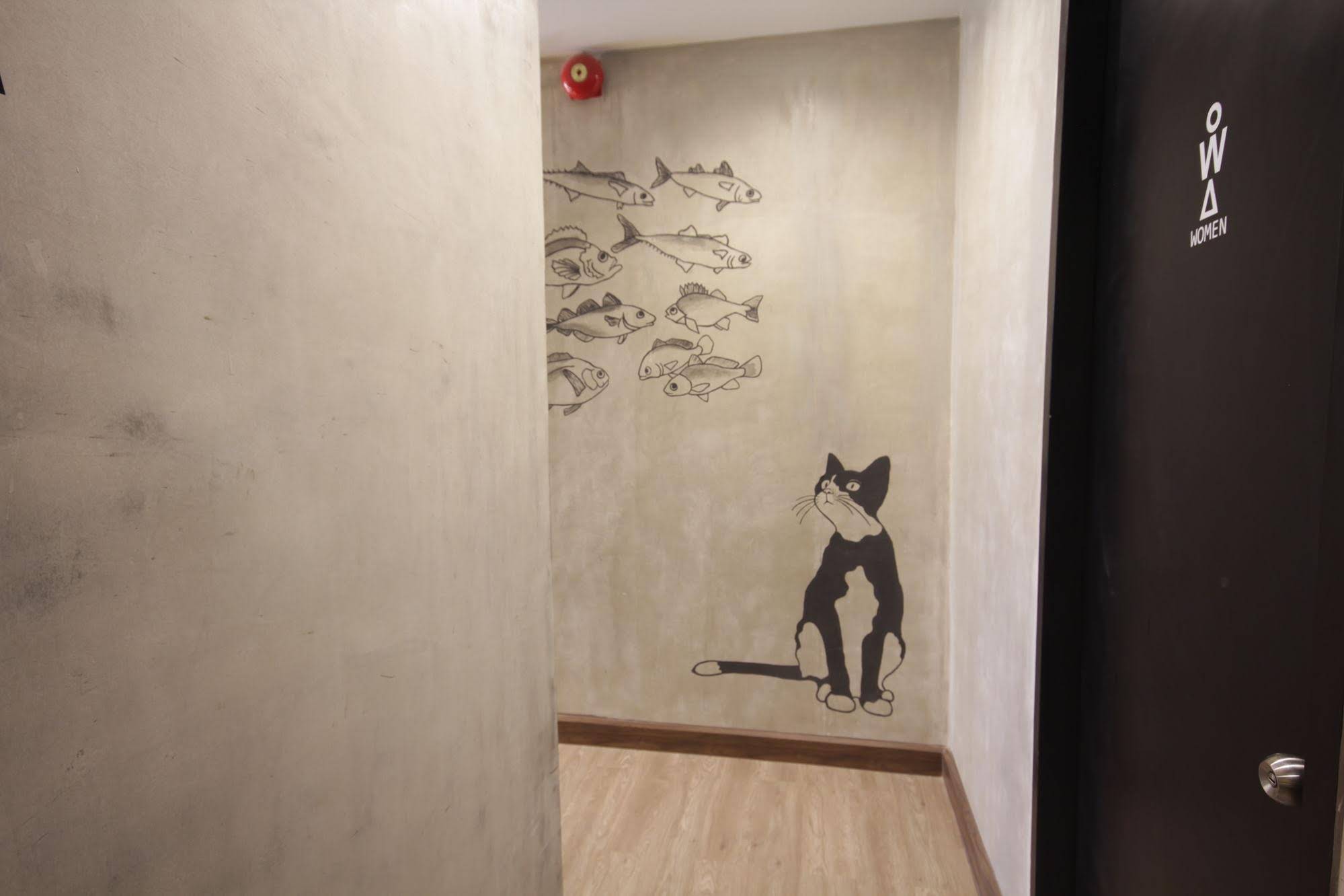 Cazz Hostel