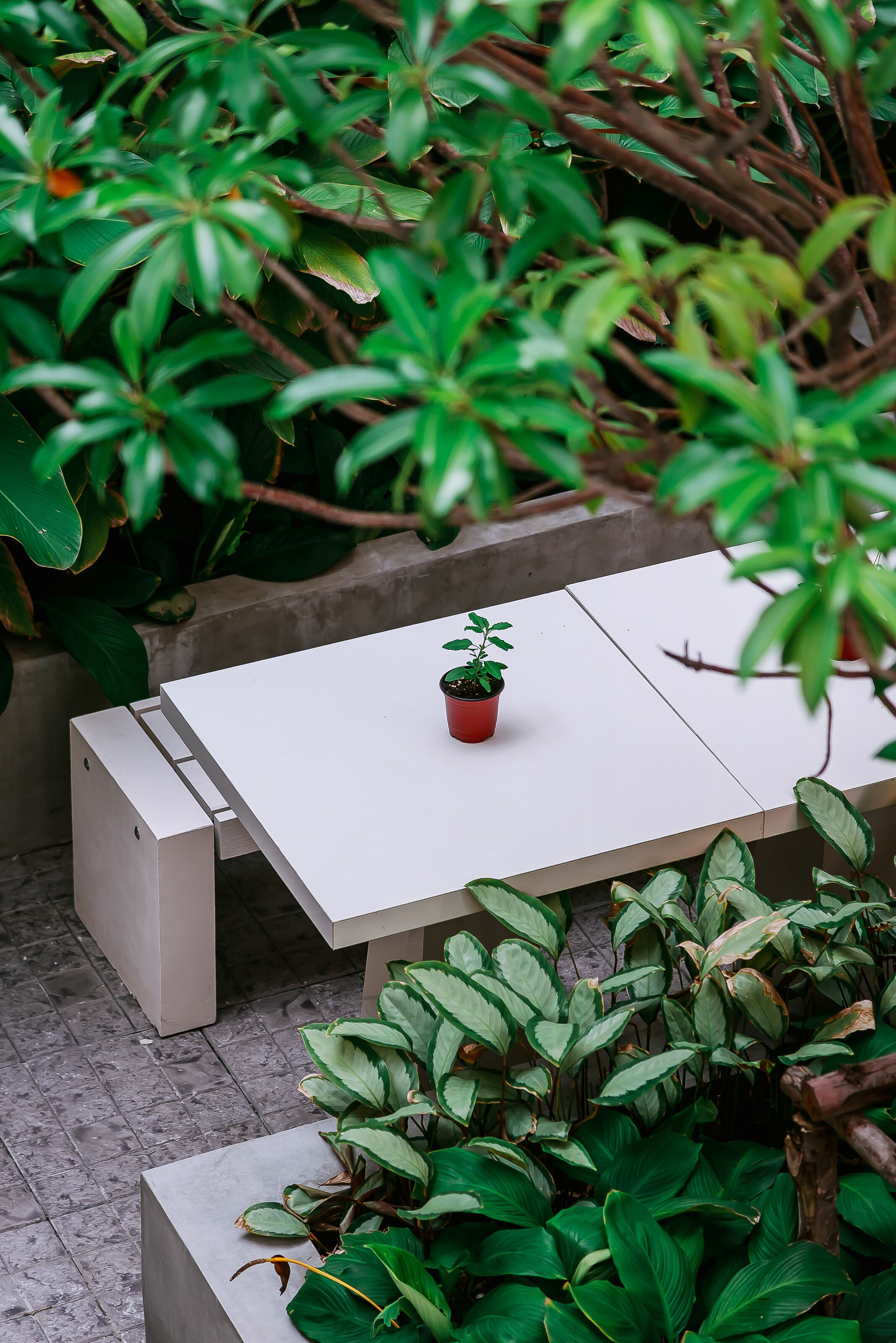 Nidhra Boutique Hotel