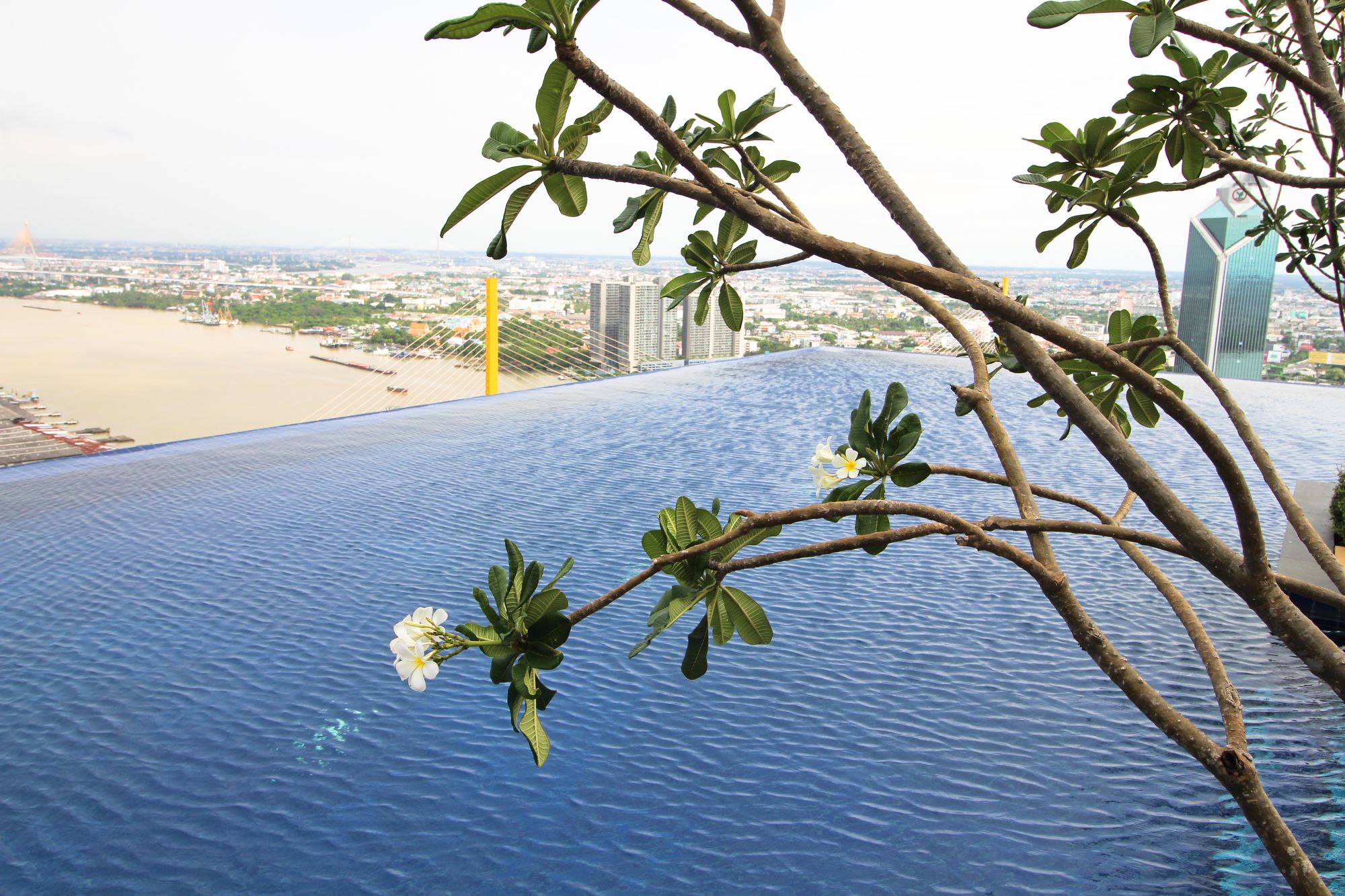 Star View Condo