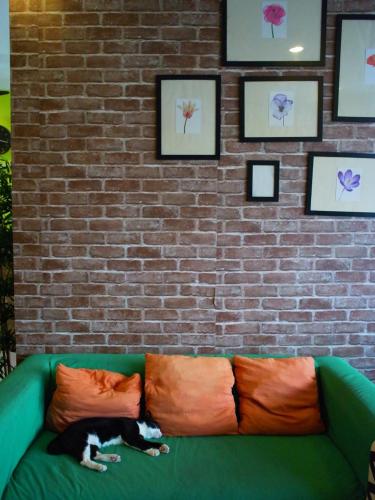 VX The Fifty Hostel