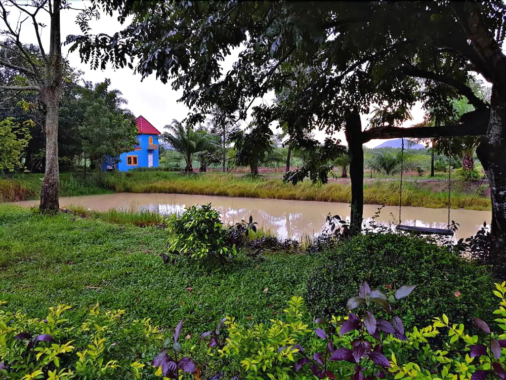 View Dao Jandhra