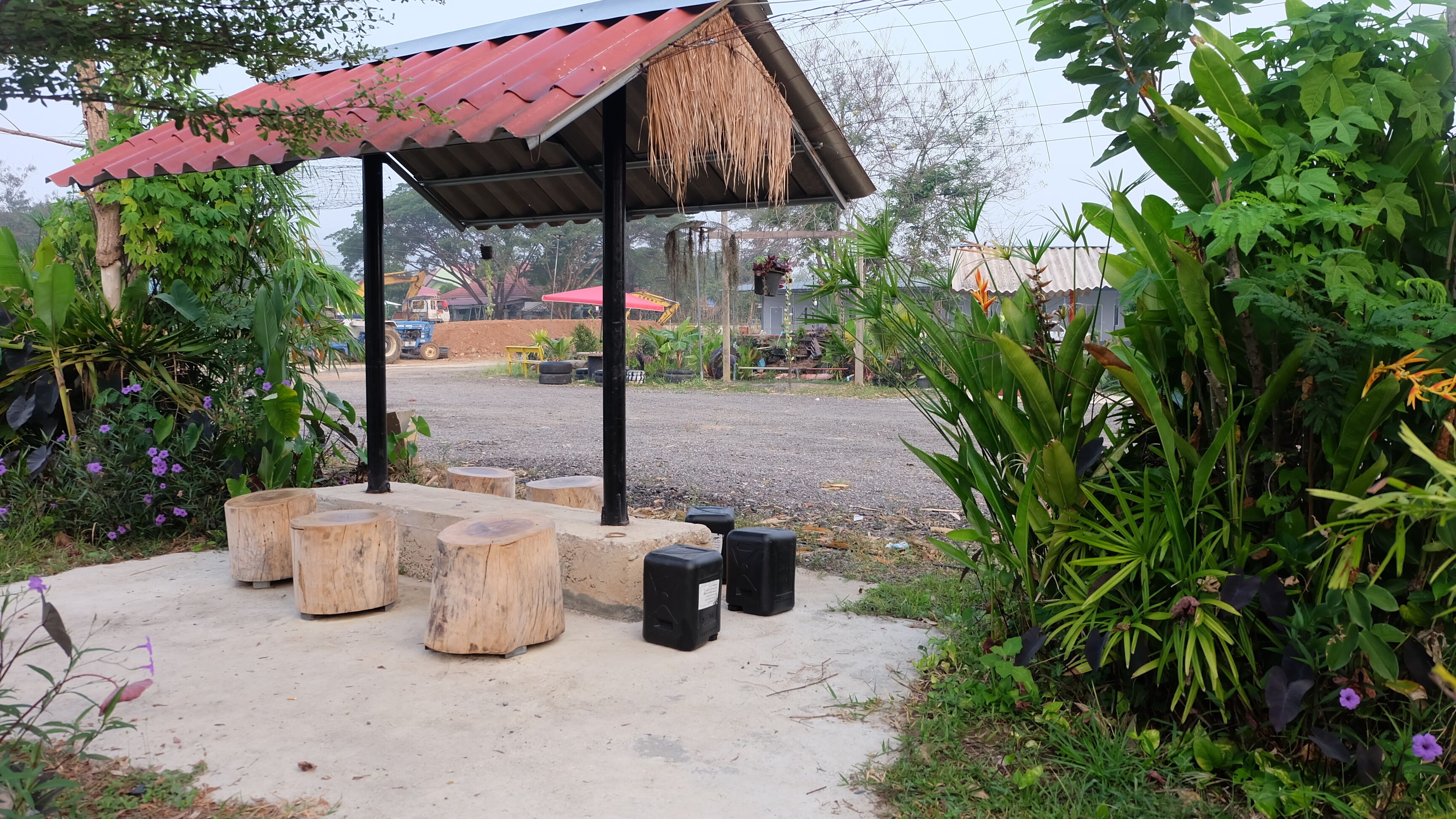 Check-in Resort